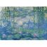 Puzzle Nenúfares Claude Monet 1000 piezas RAV12000194 Ravensburger 2