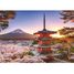Puzzle Cerezos en flor del Monte Fuji 1000 piezas RAV12000582 Ravensburger 2