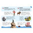 Viajar, descubrir, explorar - Europa SJ-9757 Sassi Junior 4