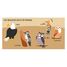 Libro y puzle Las aves SJ-329331 Sassi Junior 5