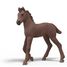 Calendario de Adviento Horse Club 3 SC-99178 Schleich 7