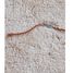 Alfombra lavable de juego Wildflowers LC-C-WIFLOWER Lorena Canals 7