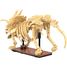 Esqueleto de Triceratops 272 piezas C59013W CaDA 2