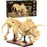 Esqueleto de Triceratops 272 piezas C59013W CaDA 4
