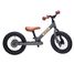 Bicicleta sin pedales 2 in 1 gris mate TBS-3-ANTM Trybike 5