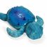Tortuga Tranquila Veilleuse - Azul Aqua CloudB-7423-AQ Cloud b 2