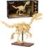 Esqueleto de Velociraptor 256 piezas C59014W CaDA 4