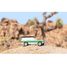SUV Big Sur Verde C-M1201 Candylab Toys 5