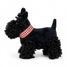 Walter el perro de peluche 17 cm EG130618 Egmont Toys 2