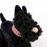 Walter el perro de peluche 17 cm EG130618 Egmont Toys 4