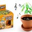 Cultivo mi planta de baile RC-028733 Radis et Capucine 1