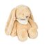 Luz de noche de peluche de conejo Sleepy NA876551 Nattou 1