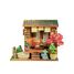 Mini Book Nook Jardín zen CT106 Cartartem 1