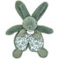 Peluche Conejo verde 18 cm DC4191 Doudou et Compagnie 1