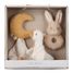 Set de regalo Newborn Naturals LD8415 Little Dutch 1