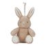 Conejo de peluche musical con luz LD8441 Little Dutch 1