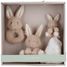 Set de regalo Baby Bunny LD8859 Little Dutch 1