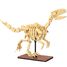 Esqueleto de Velociraptor 256 piezas C59014W CaDA 1