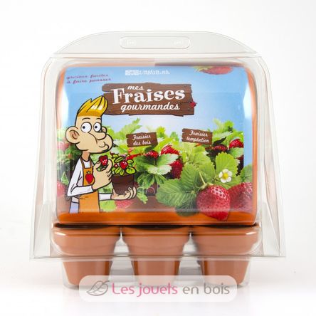 Mini invernadero de fresas RC-033237 Radis et Capucine 1