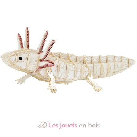 Modelo 3D de papel Axolotl FR-11755 Fridolin 1
