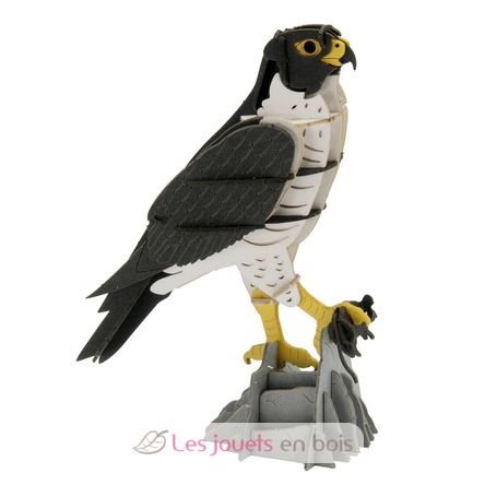 Modelo 3D de papel halcón FRI-11766 Fridolin 2