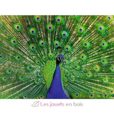 Puzzle Pavo real 500 pzs RAV12001332 Ravensburger 2
