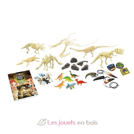 Caja Sorpresa Dino BUK2135 Buki France 3