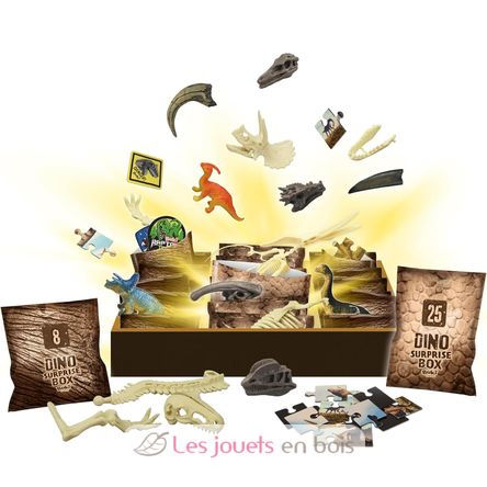 Caja Sorpresa Dino BUK2135 Buki France 2