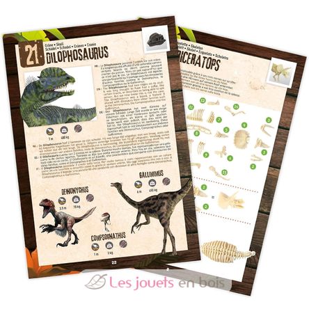 Caja Sorpresa Dino BUK2135 Buki France 4