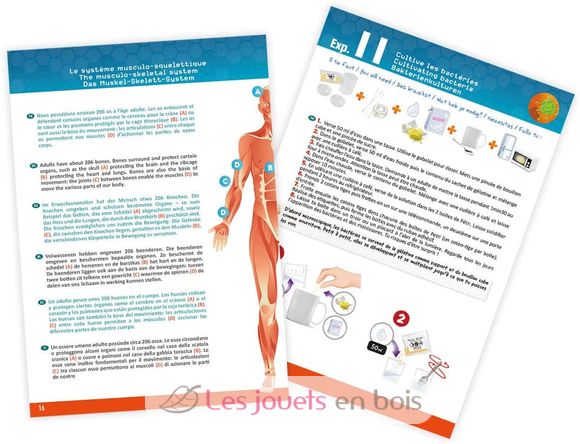 Cuerpo humano BUK2163 Buki France 5