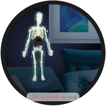Cuerpo humano BUK2163 Buki France 6