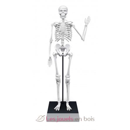 Esqueleto gigante 85cm BUK-2181 Buki France 3