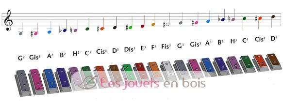 Palas de sonido Xyloba C4 - C XY-22041-C4 Xyloba 2