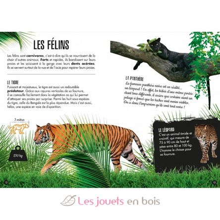 La Jungla - El elefante 3D SJ-2723 Sassi Junior 3