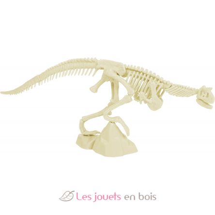 Kit Paleo - Vélociraptor UL2822 Ulysse 3