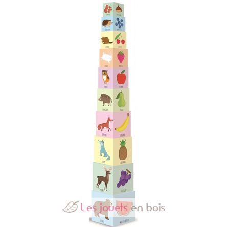 Eco-cubos - Jugar y aprender SJ-2860 Sassi Junior 2