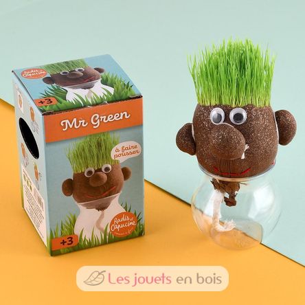 Sr. GREEN - Cabeza de empuje RC-015417 Radis et Capucine 2