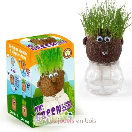 Sr. GREEN - Cabeza de empuje RC-015417 Radis et Capucine 1