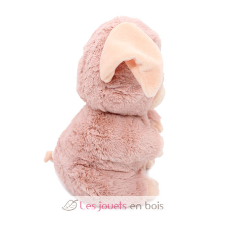 Mamá cerdita de peluche y su bebé rosa DE76020 Les Déglingos 9