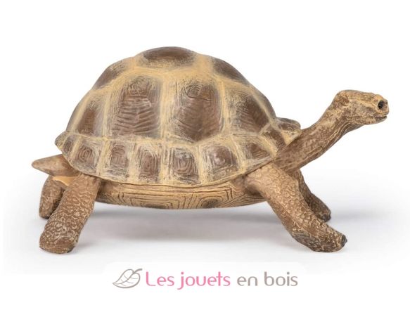 Figura de la tortuga de Hermann PA-50264 Papo 2