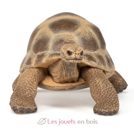 Figura de la tortuga de Hermann PA-50264 Papo 3