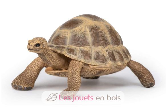Figura de la tortuga de Hermann PA-50264 Papo 4