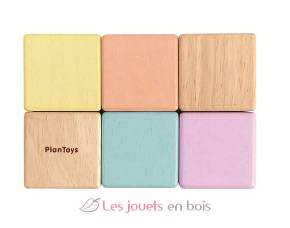 Bloques de madera para desarrollar los sentidos pastel PT5257 Plan Toys 6