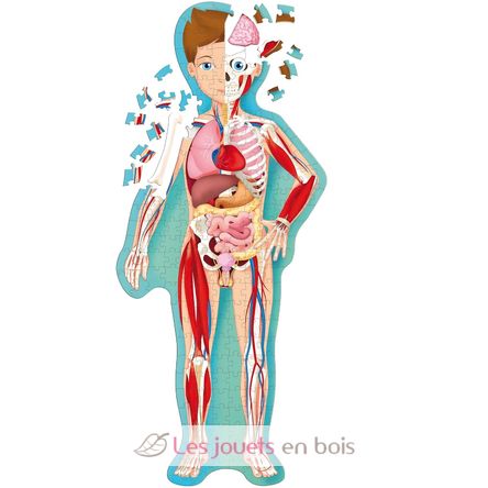 Viajar, descubrir, explorar - El cuerpo humano SJ-5453 Sassi Junior 2