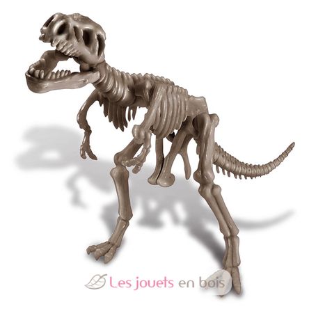 Cava un esqueleto de dinosaurio T-Rex 4M-5663221 4M 4