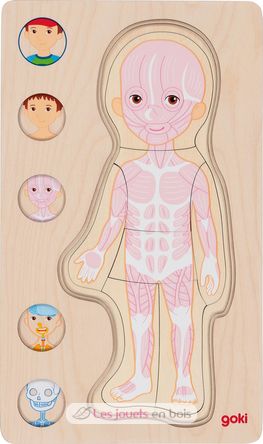 Puzzle del cuerpo humano, niño GK57361 Goki 4