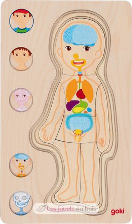 Puzzle del cuerpo humano, niño GK57361 Goki 6
