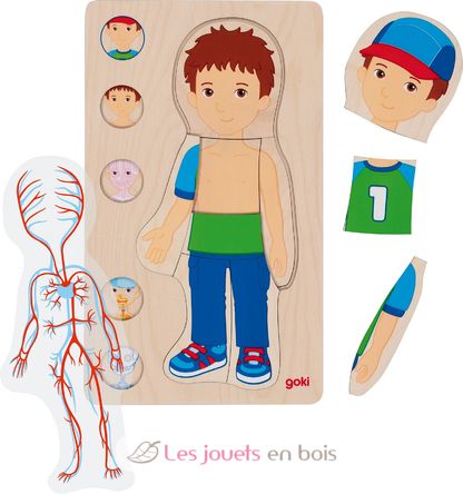 Puzzle del cuerpo humano, niño GK57361 Goki 2