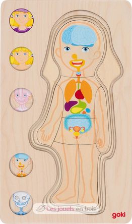 Puzzle del cuerpo humano, niña GK57362 Goki 4