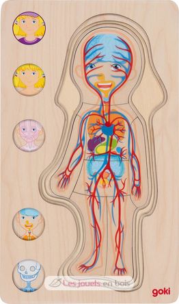 Puzzle del cuerpo humano, niña GK57362 Goki 5